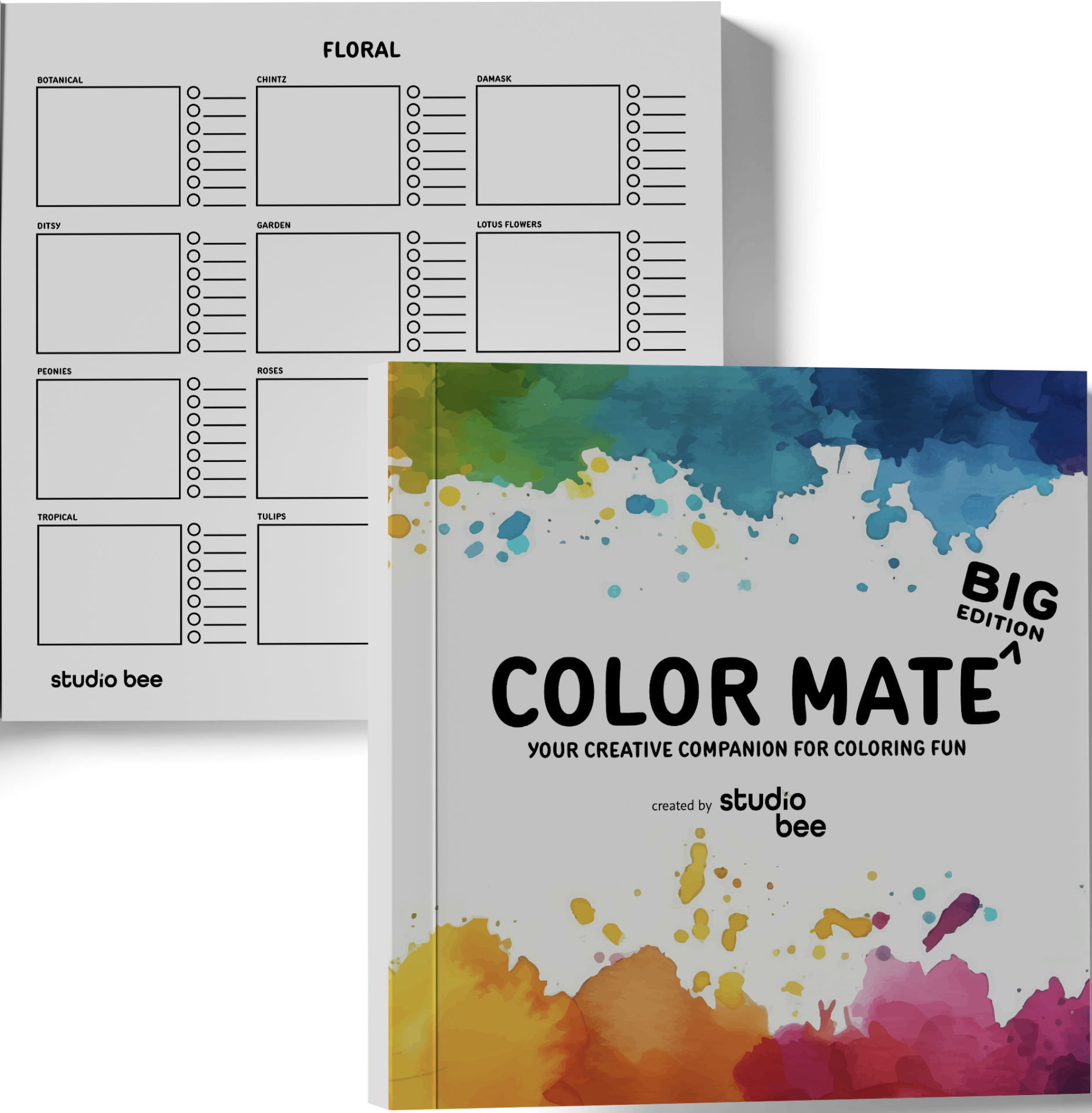Color Mate: Big Edition book cover